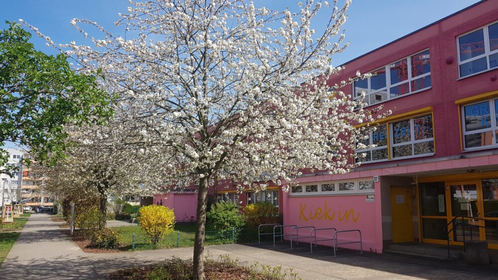 Hausansicht im Frühjahr